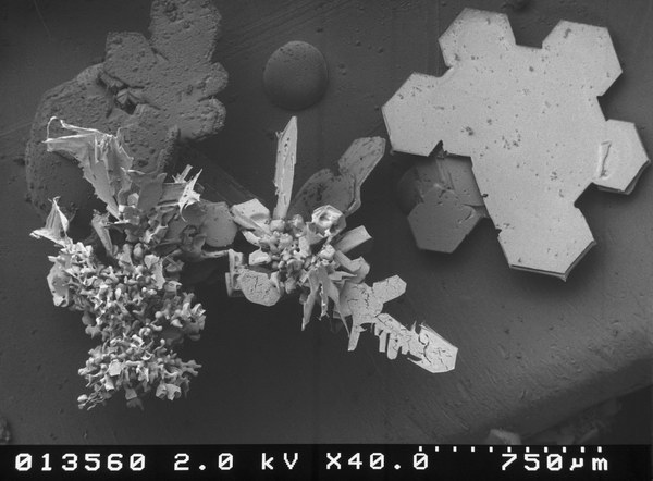 Snow crystal (through a microscope)
