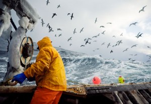 Bering Sea - Copyright (C) Corey Arnold