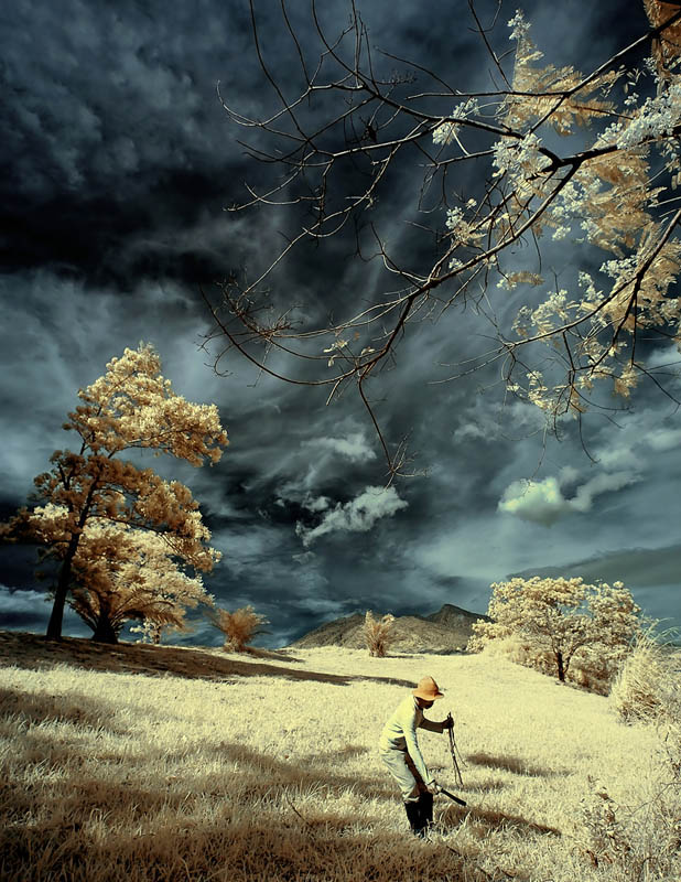 ir_landscape