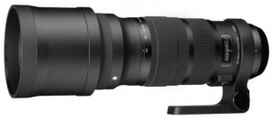 Sigma 120-300mm f/2.8