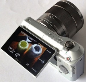 sony-nex-lcd-rm-eng_500x476