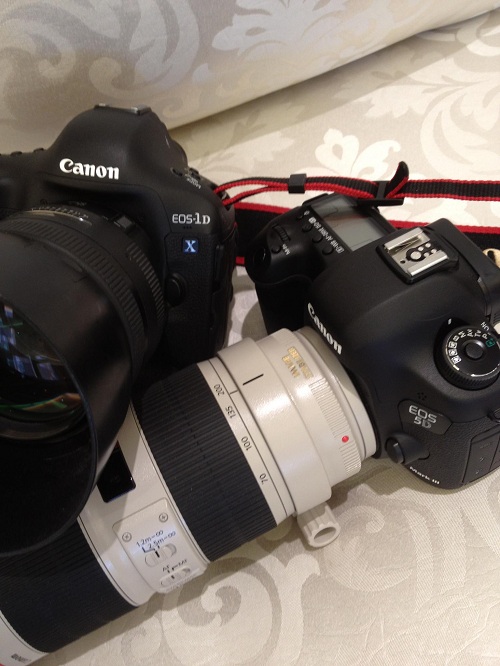 Canon EOS 5D MkII & 1D-X